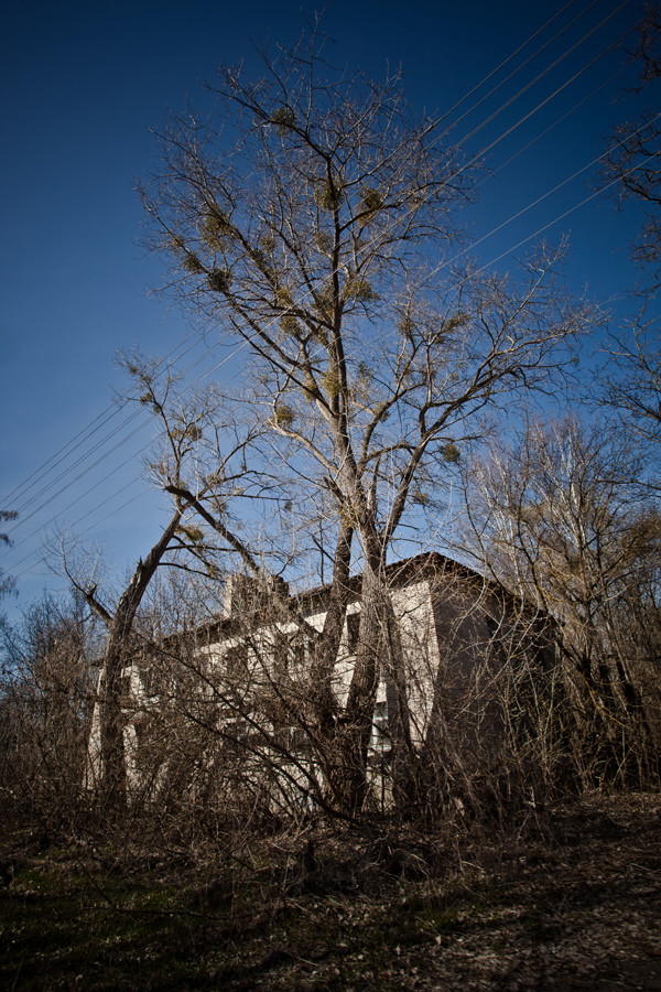 Czarnobyl