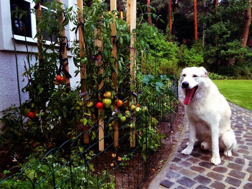 Robert Gawliński. Za biust Baśki kupili sobie dom.