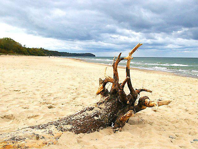 Galeria Najpiękniejsze plaże Polski, obrazek 11