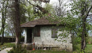  Koraćica