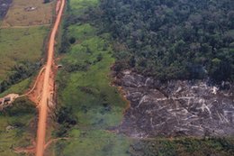 Część obszarów lasów Amazonii emituje więcej dwutlenku węgla, niż może pochłonąć. Nowe badania