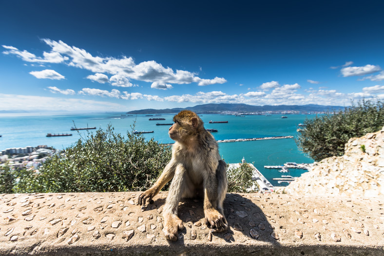 Gibraltar