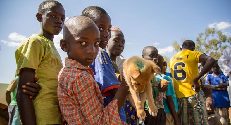 Rabies outbreak in Sheema, livestock and children in danger