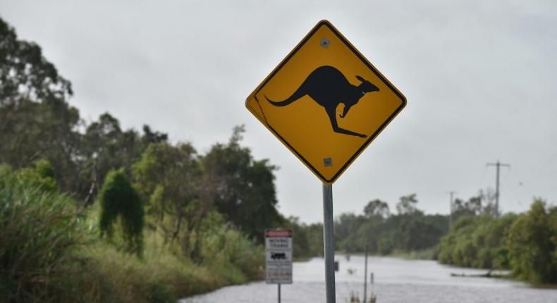 Torrential rain is hampering relief efforts after a powerful cyclone wreaked havoc in northeast Australia, with floods sparking emergency rescues as fed-up tourists wait to be evacuated from resort islands