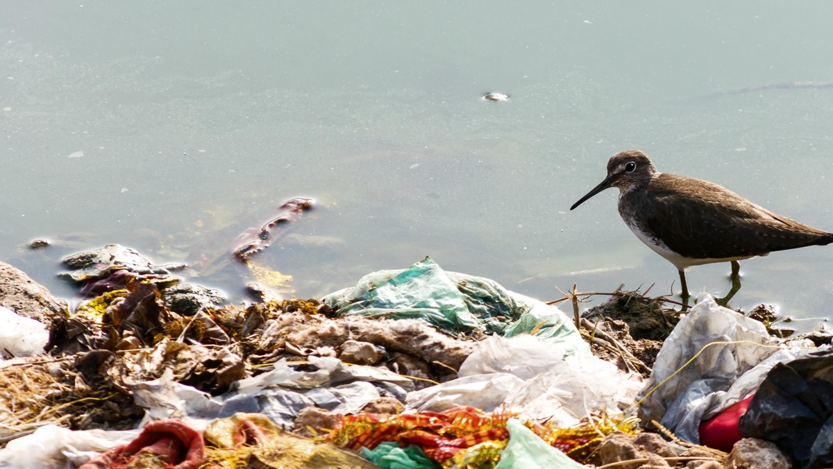 plastik torebka foliowa torba śmieci