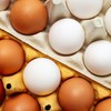Smeđa i bela jaja imaju istu nutritivnu vrednost