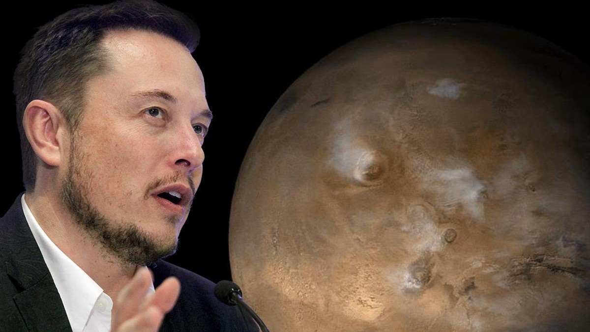 elon musk mars