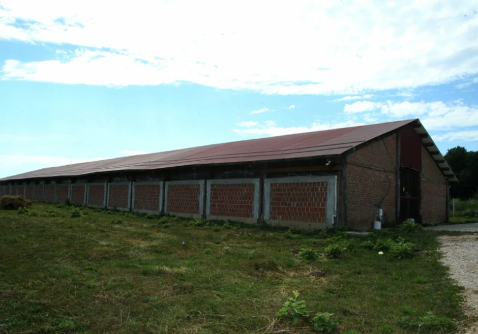 Azil za pse na Manjači