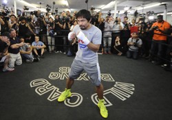 Słynny bokser stracił wielkie pieniądze, bo porównał homoseksualistów do zwierząt. WIDEO