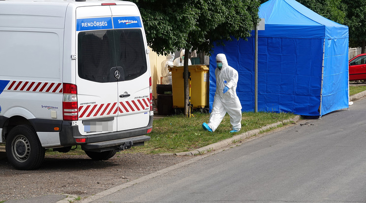 Otthonától nem messze végzett áldozatával a 18 éves késelő /Fotó: Police.hu