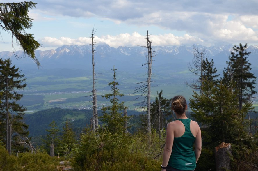 Gorce. Turbacz i widok na Tatry.