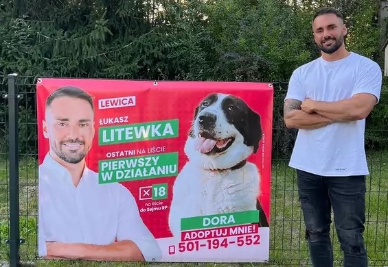 Zamiast polityków promował psy do adopcji. Przegania lidera listy