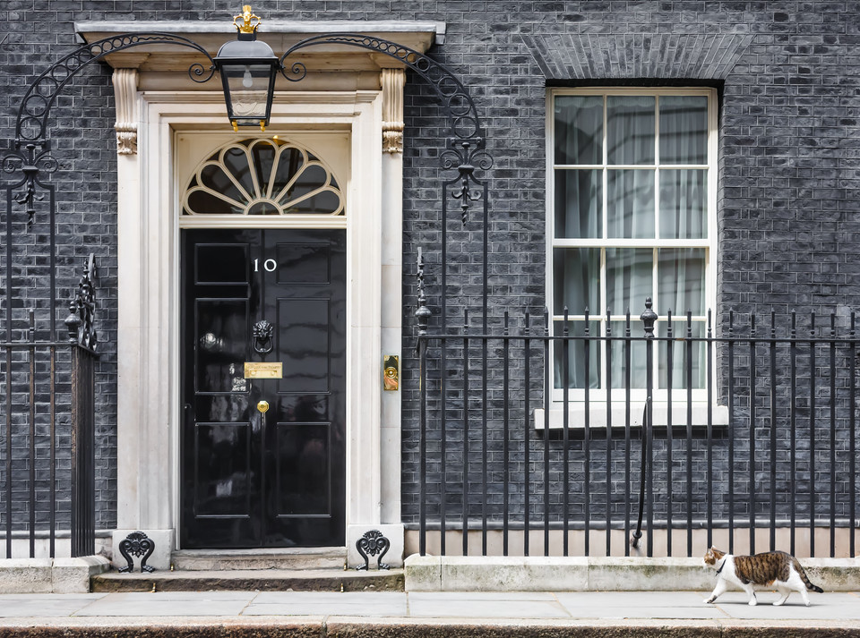Kot Larry z Downing Street w Londynie - najważniejszy kot w Wielkiej Brytanii