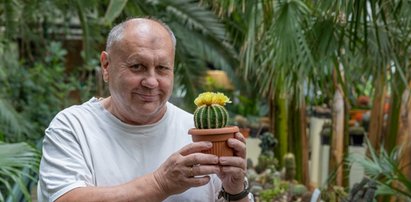 Kwitną tylko przez kilka godzin. Wystawa i aukcja kaktusów w gliwickiej palmiarni. Okazja dla pasjonatów