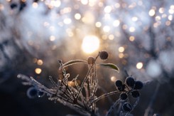 Najkrótszy dzień roku 2023 już niedługo. Kiedy wypada i ile potrwa?