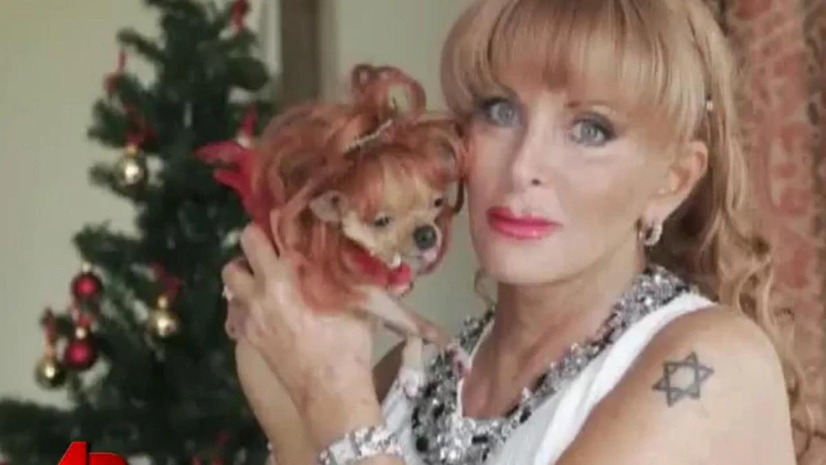 Luksuzni stan koji je nasledila čivava Končita prodat za 8,4 miliona dolara  - Blic