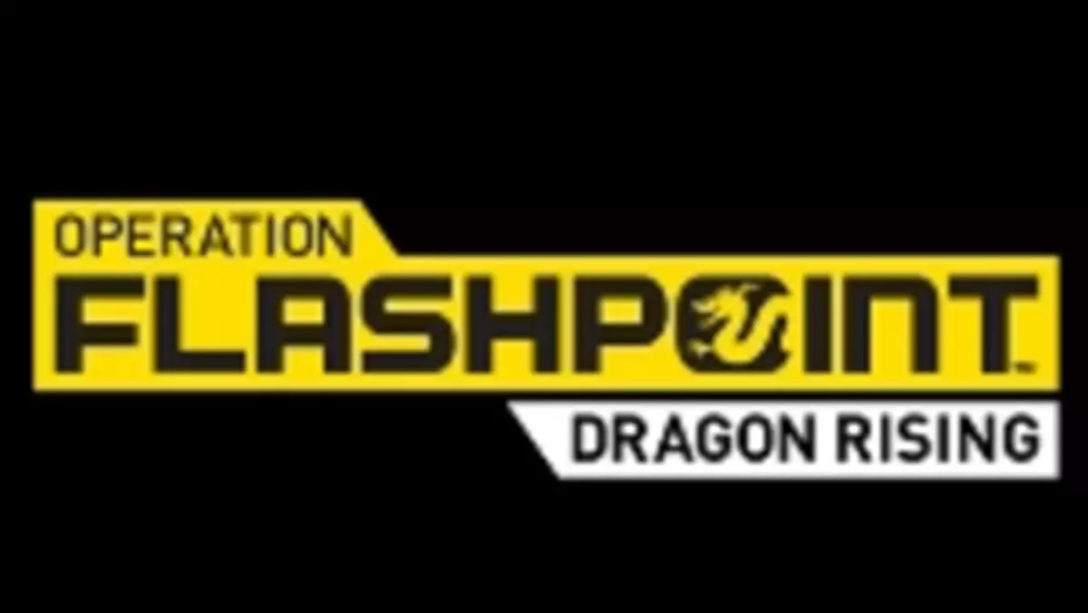 Operation Flashpoint: Dragon Rising bez DirectX 11