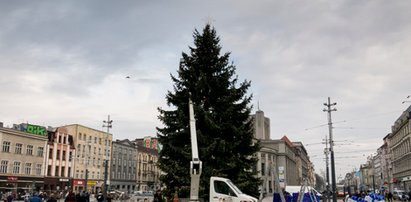 Choinka stanęła na rynku w Katowicach