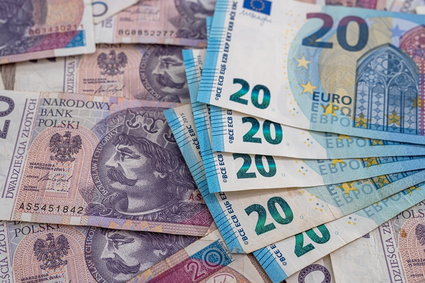 Kurs euro 13 lipca powyżej 4,8 zł