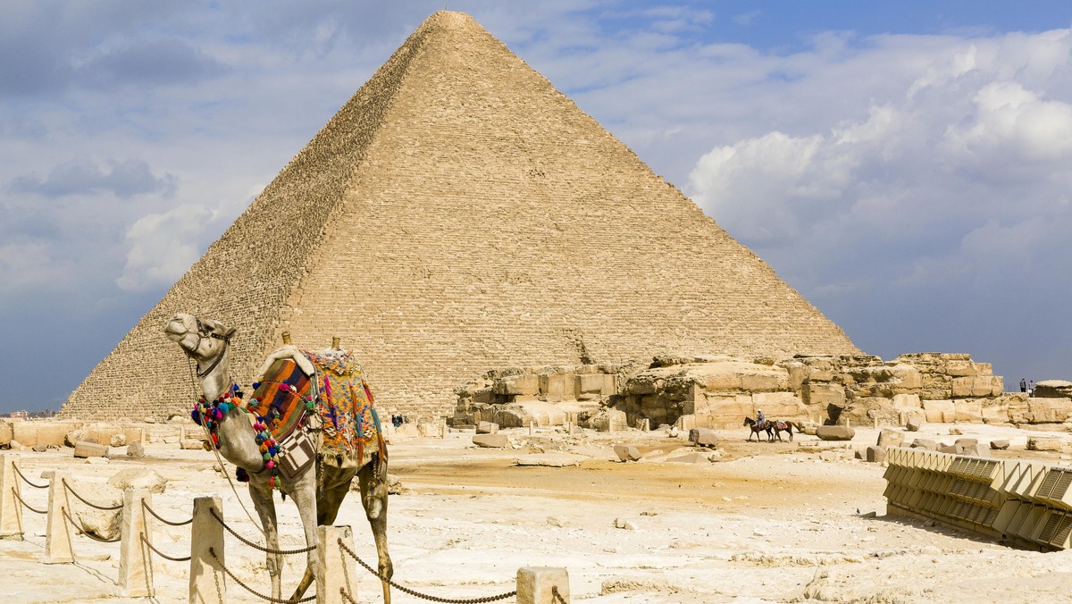 Egypt, Cairo: dromedary in front of the Great Pyramid of Giza (also known as the Pyramid of Khufu or