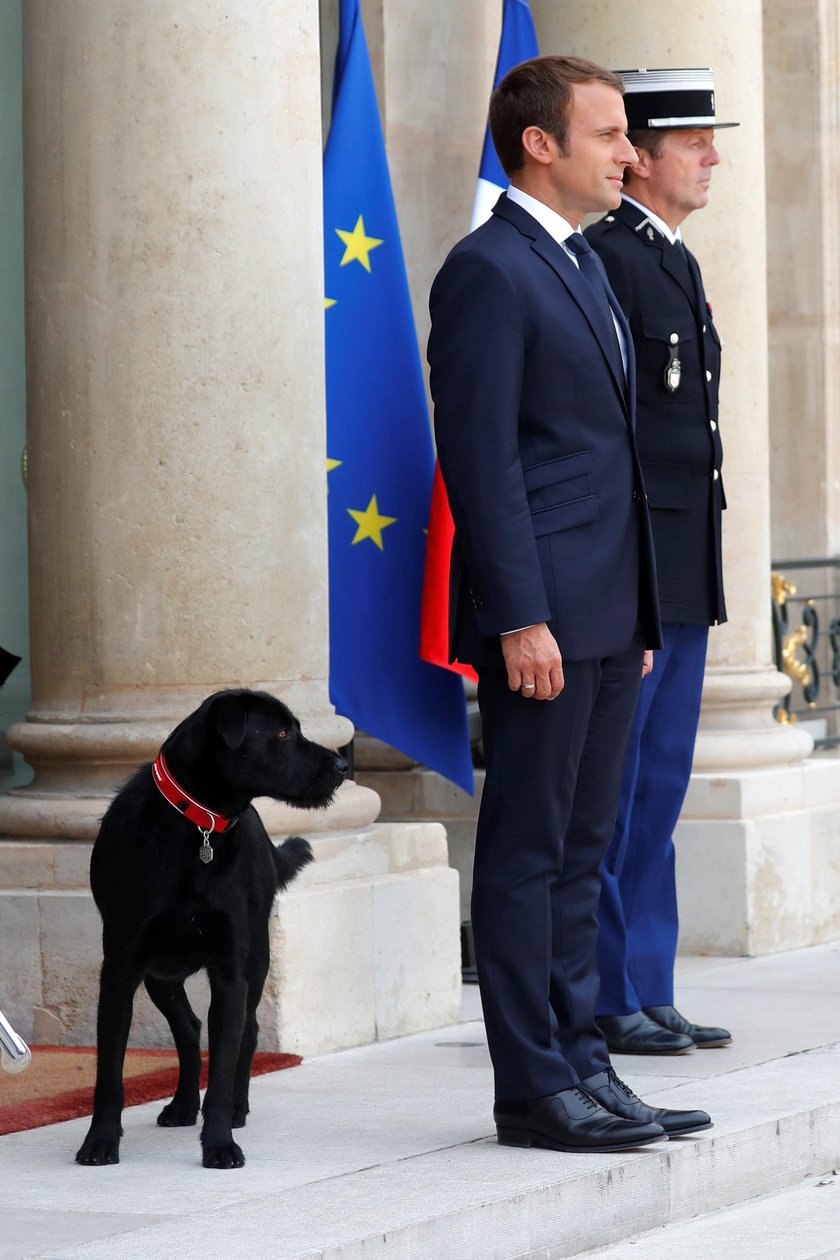 Prezydent Francji najadł się wstydu. Wszystko nagrały kamery