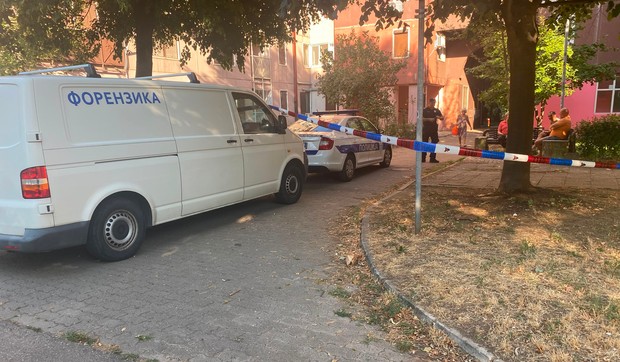 Bežanijska kosa hronika