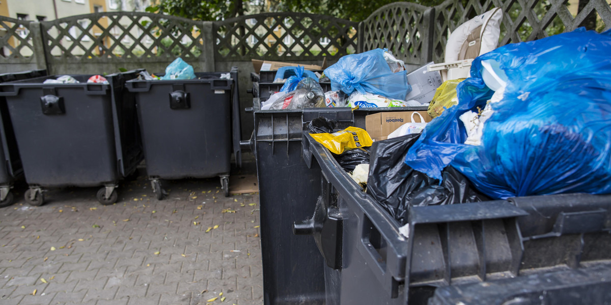Nowe zasady segregowania śmieci