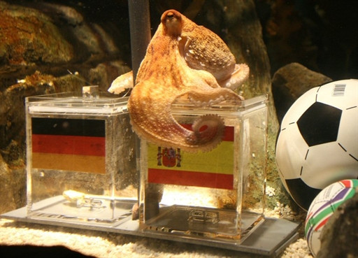 GERMANY - ANIMAL - FBL - WC2010 - GER - ESP - OCTOPUS - OFFBEAT