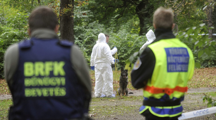 Információink szerint a rendőrség egyik
kutyája vezette egy padhoz a nyomozókat / Fotó: MTI-Mihádák