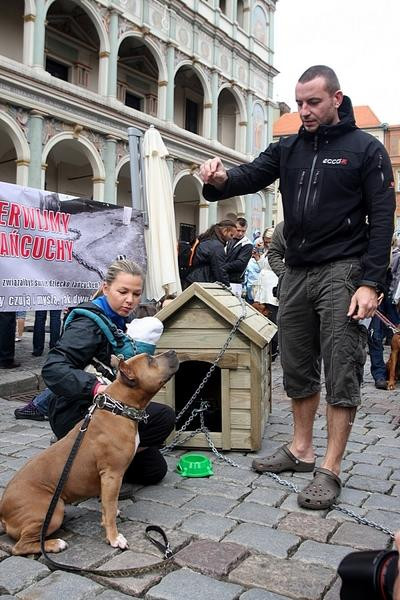 "Zerwijmy łańcuchy" - akcja w Poznaniu z udziałem Katarzyny Bujakiewicz z córeczką