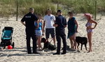 Rottweiler pogryzł 8-latka na plaży. Właścicielka zaatakowała rodzinę dziecka i policjanta