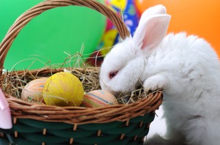 Wielkanoc 2013 – ile planują wydać na nią Polacy?