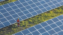 Agrowoltaika bez zmian w prawie. Ministerstwo rolnictwa nie planuje wprowadzać nowych rozwiązań