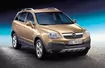 Opel Antara - Celny strzał