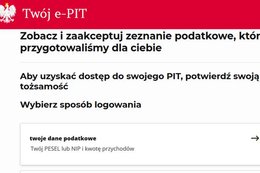 W ciągu 19 godzin złożono 100 tys. deklaracji w usłudze Twój e-PIT