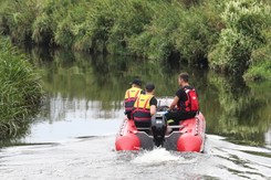 Sygnały o śniętych rybach w rzece Wełna i jeziorze w Środzie Wielkopolskiej