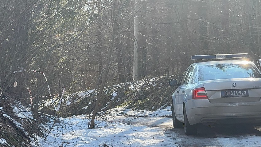 Mesto ubistva  Živka Bakića,  jezero Trešnja