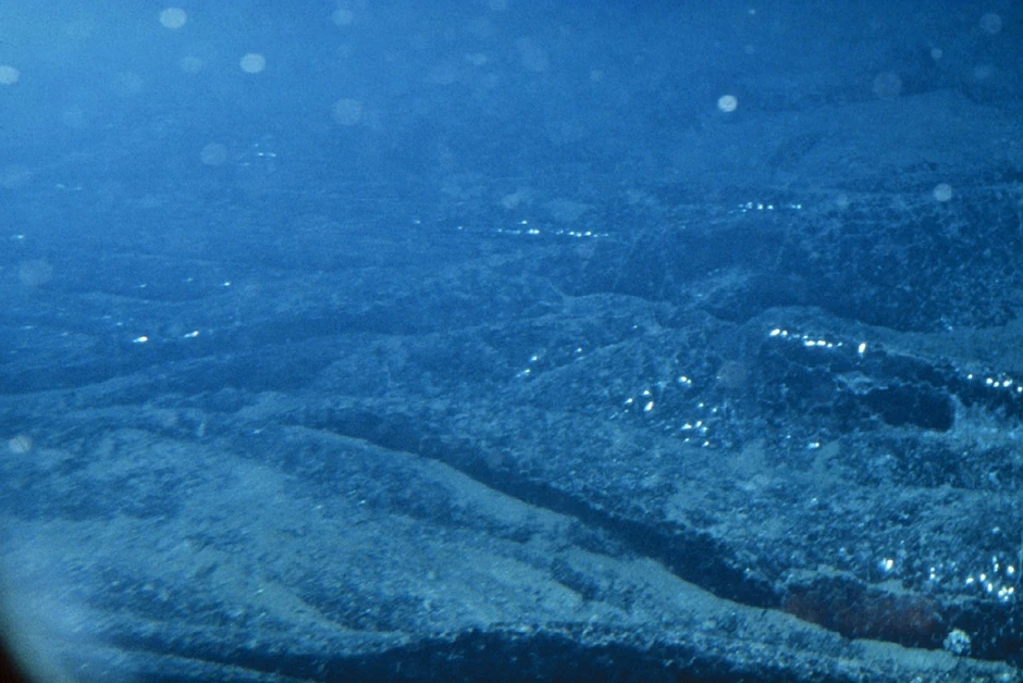U ekstremnim uslovima i danas žive razna bića 