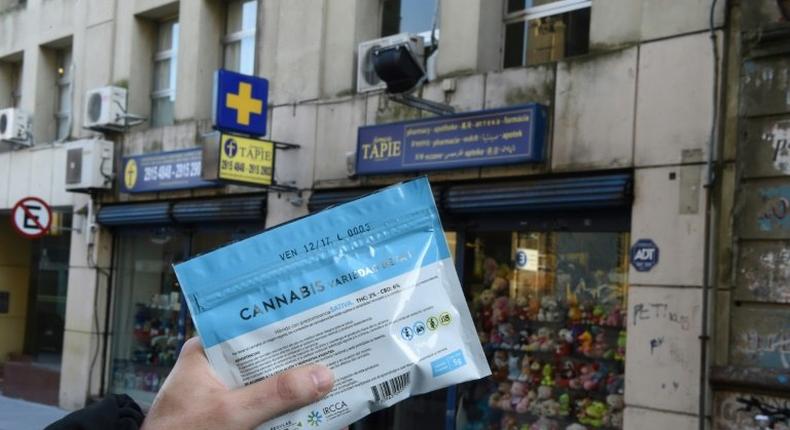 A man holds an envelope of marijuana that he purchased at a pharmacy in Montevideo in this file photo from July 19