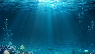 gdy prostota przestaje pomagać: bakterie, które przegrały z własną ewo