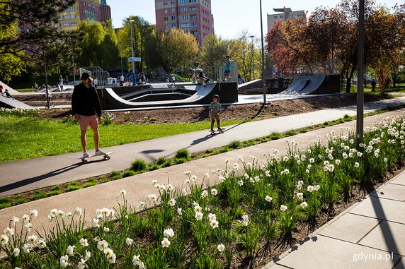 Park Centralny w Gdyni w kolorowej odsłonie [ZDJĘCIA]