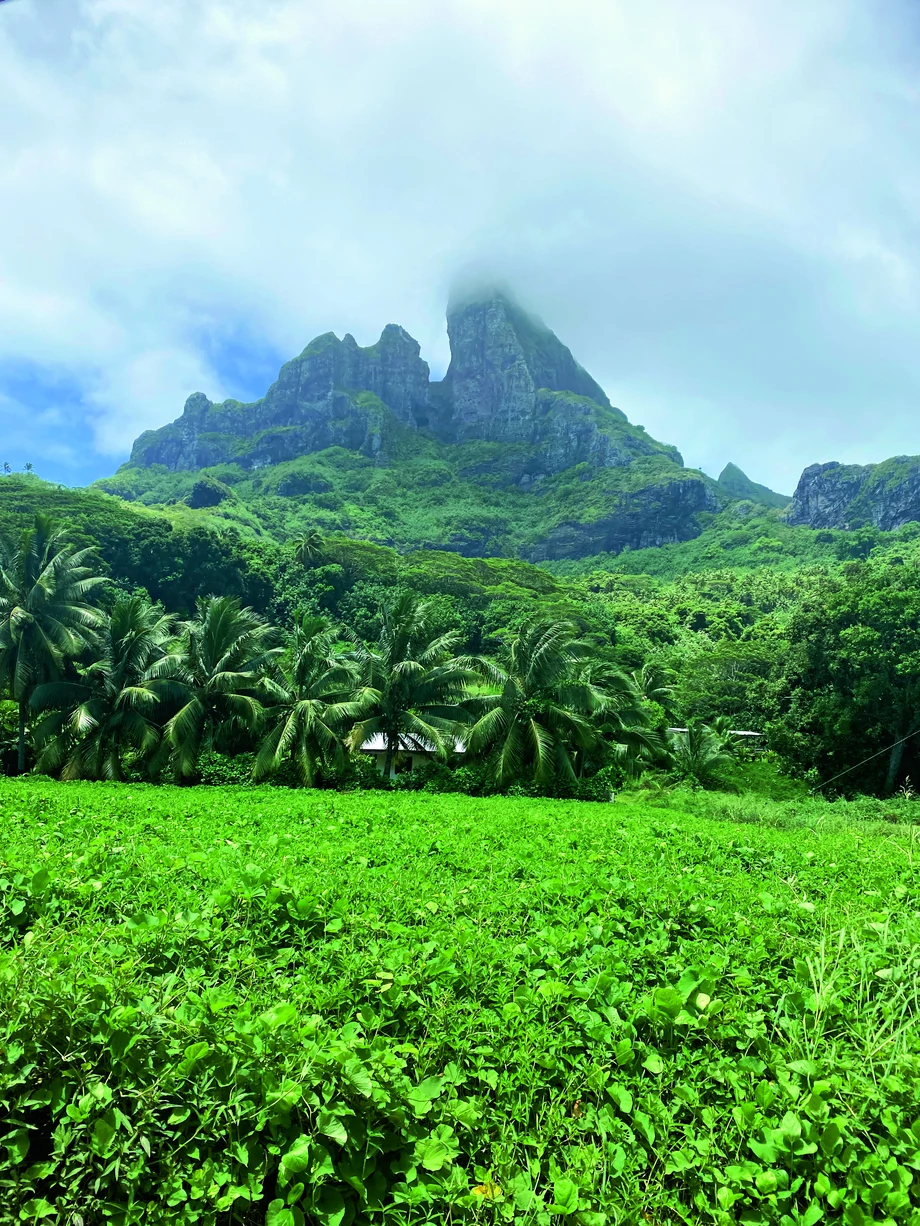 Wyspy Raiatea i Thaiti. Soczysta zieleń egzotycznej przyrody nigdy się nie nudzi.