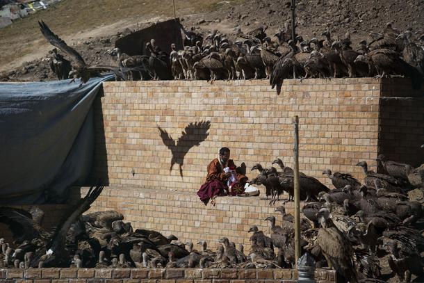A Buddhist monk collects his belongings as vultures gather around a body of a deceased person during