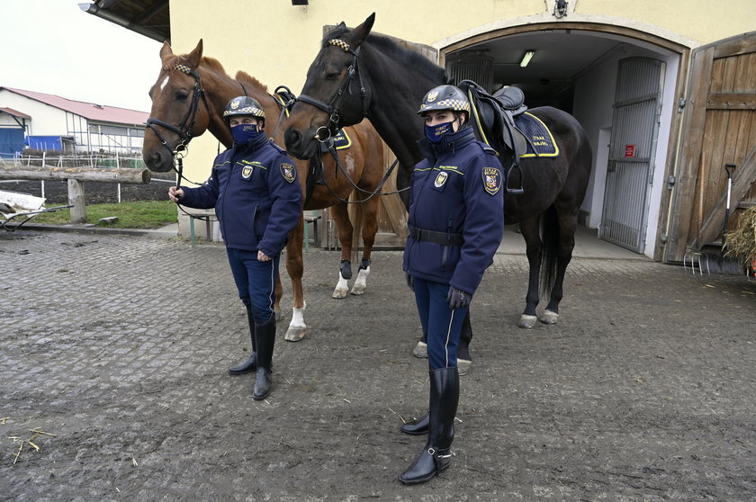 Ma być siedmiu wspaniałych