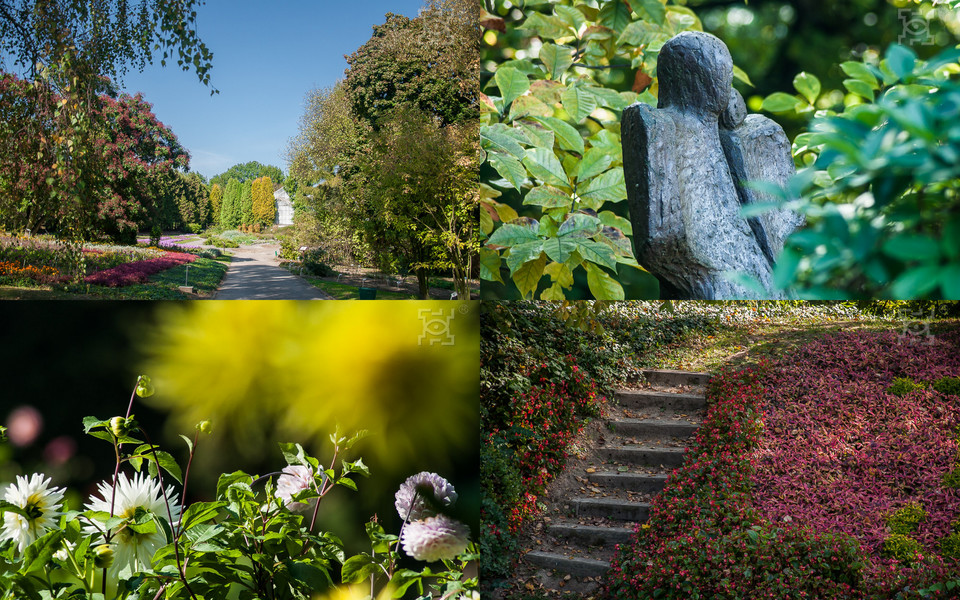 Ogród botaniczny