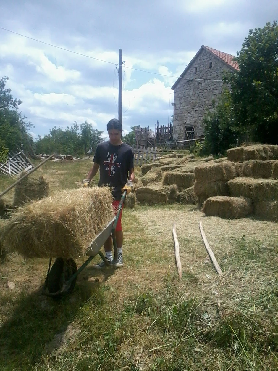 Ubacuje bale u štalu: Unuk Josif pomaže babi