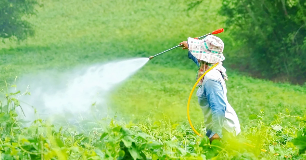 Pestycydy i zanieczyszczenia chemiczne a zdrowie jelit – nowe zagrożenie dla mikrobiomu