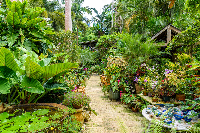 Ogród Botaniczny w Barbados 