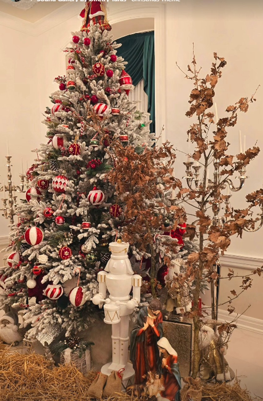 Dragana Mirković proslavlja Badnje veče