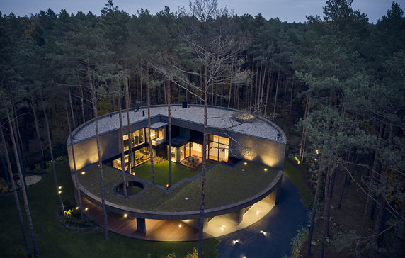 Circle Wood: dom wyciosany w pniu